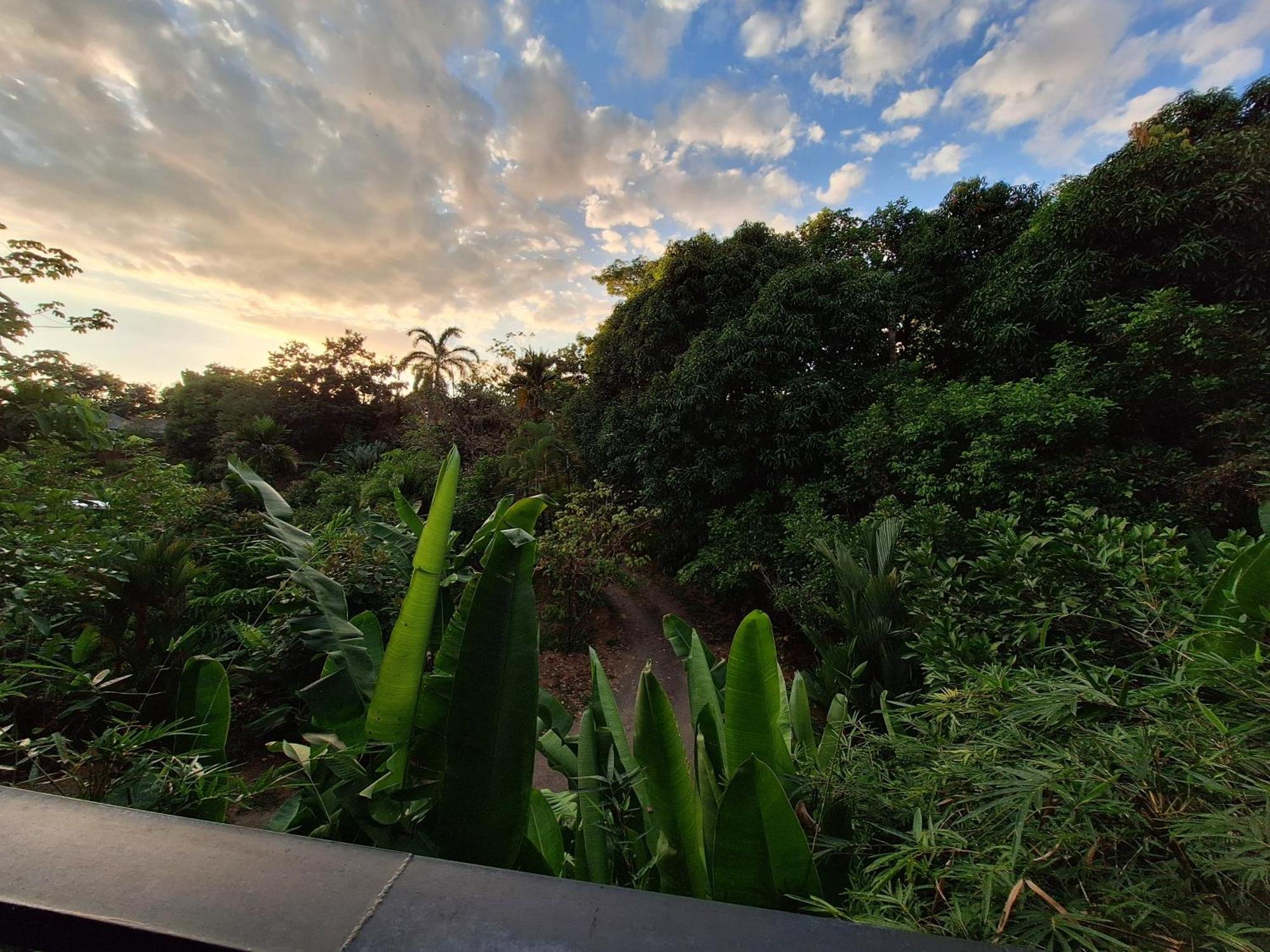 Cabinas Fave Uvita Exterior foto