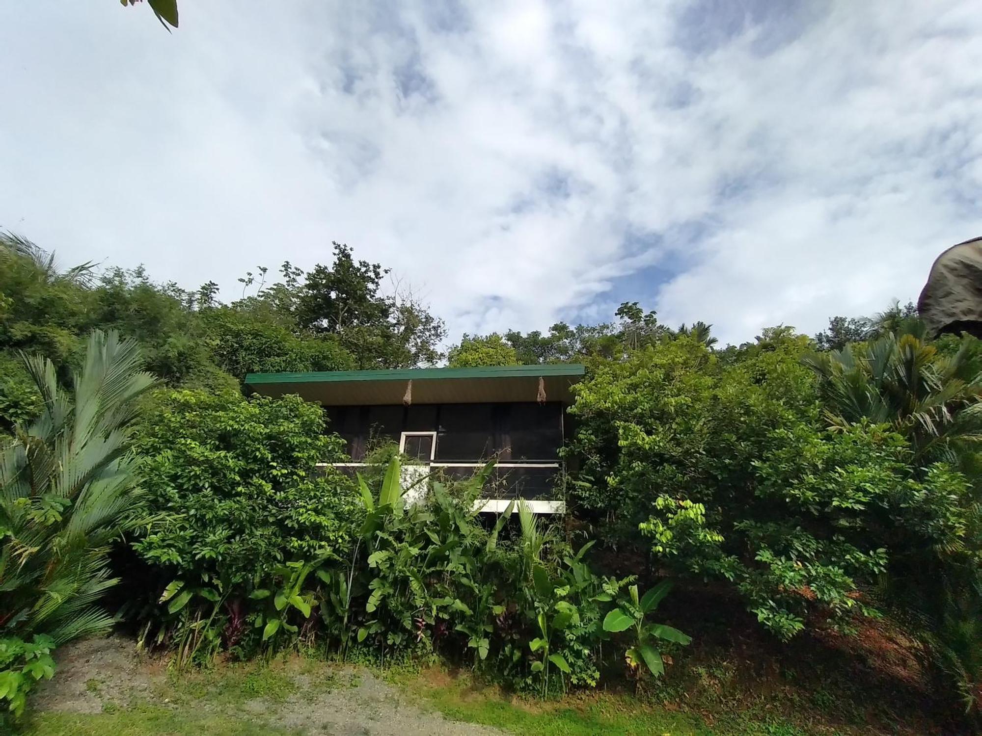 Cabinas Fave Uvita Exterior foto