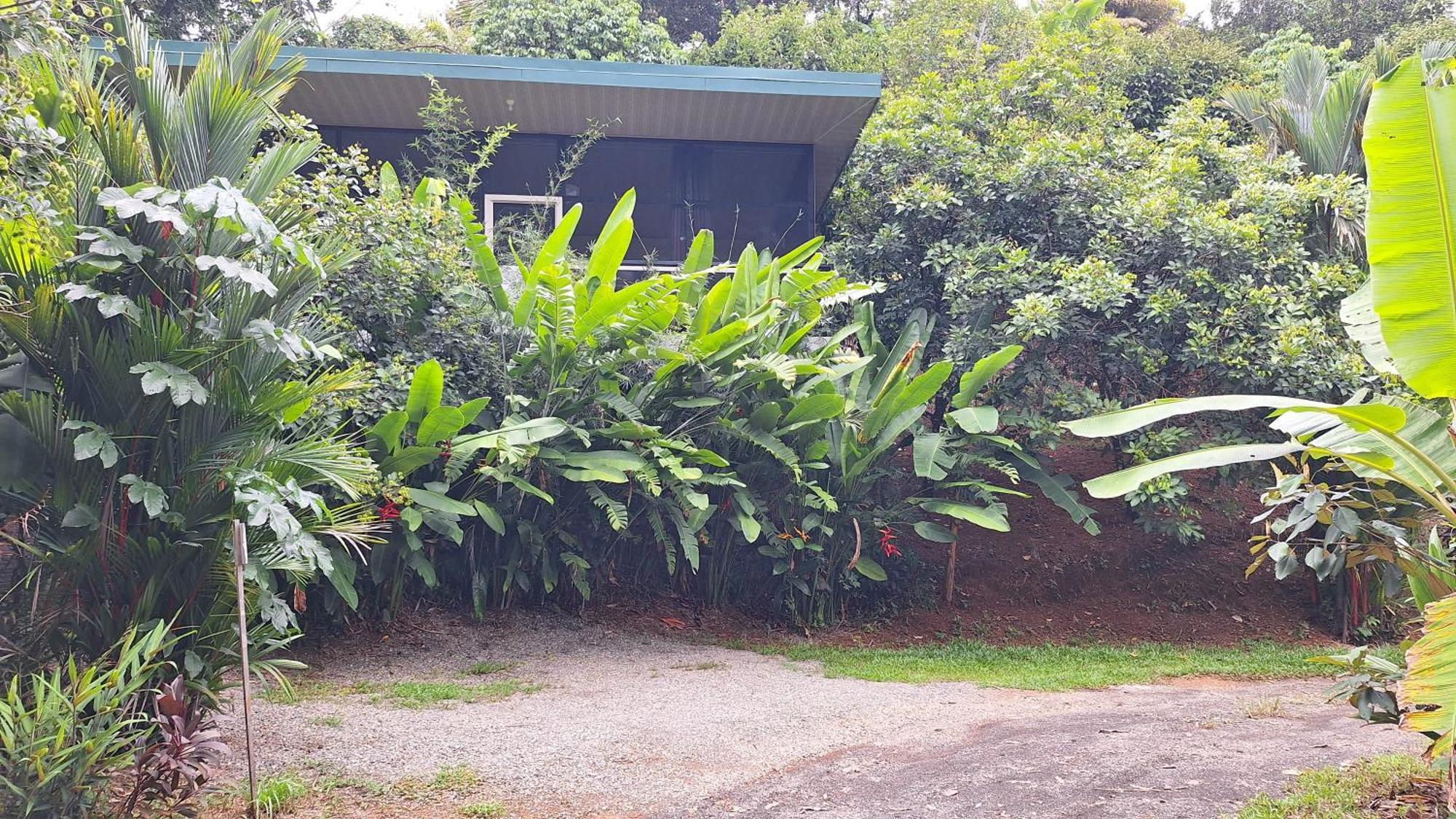 Cabinas Fave Uvita Exterior foto